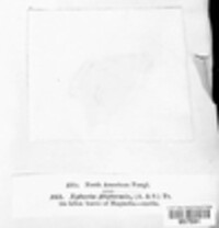 Image Associated With the Occurence